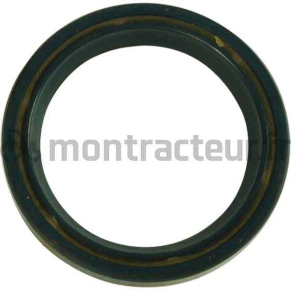 BAGUE 38X50X7 38X50X7