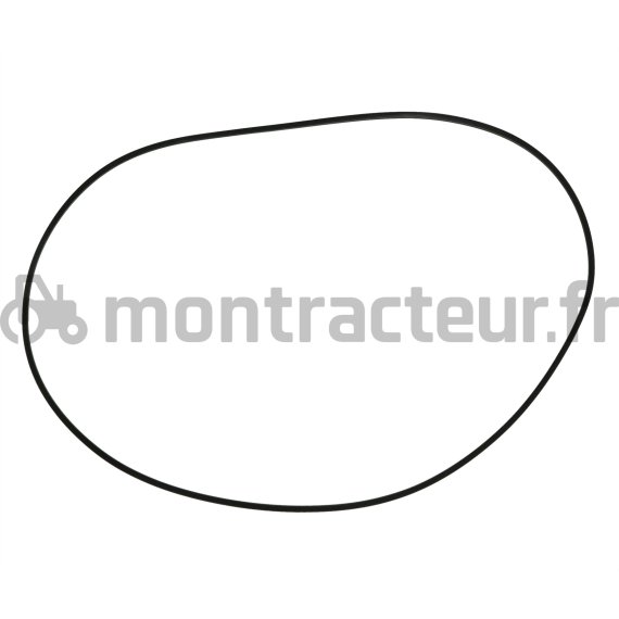 JOINT TORIQUE 306.4 X 3.4 MM