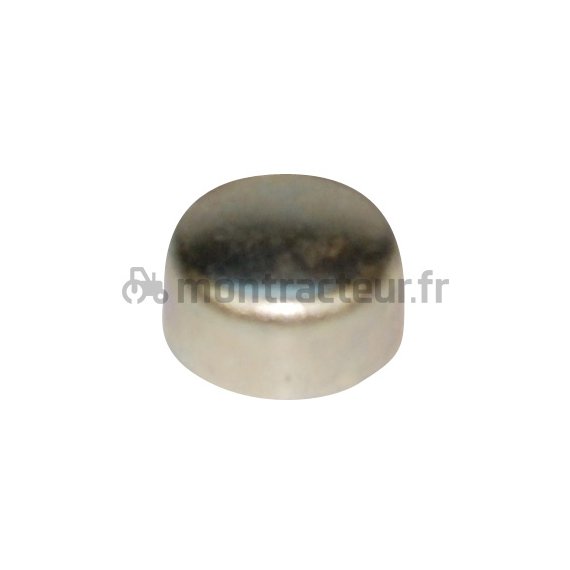 PASTILLE DE SABLAGE ACIER - 17.60 MM