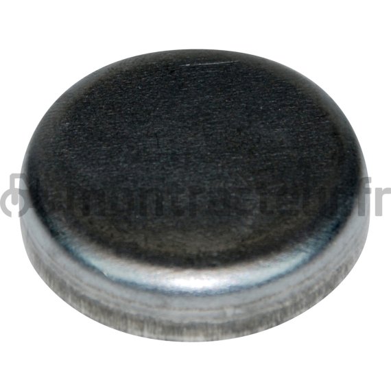 PASTILLE DE SABLAGE INOX - 38.50 MM