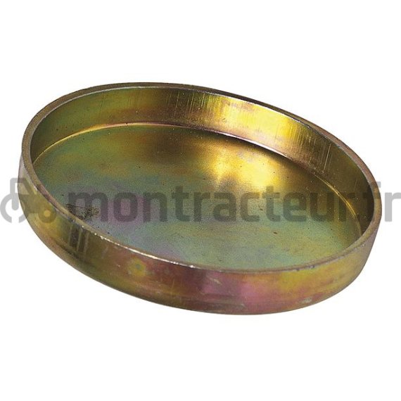 PASTILLE DE SABLAGE ACIER - 52.00 MM