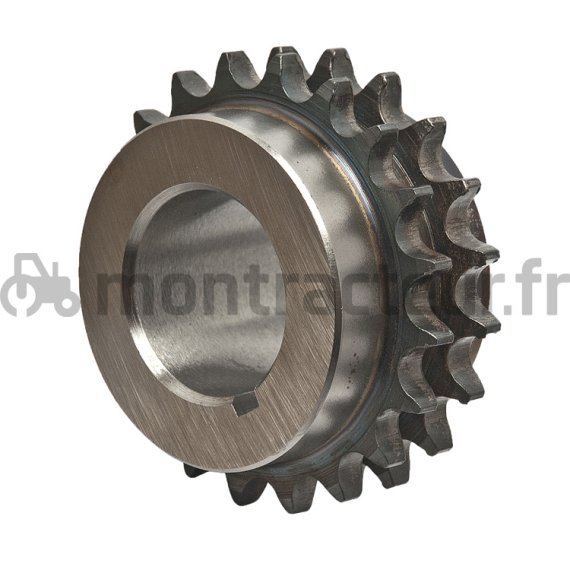 PIGNON DE VILEBREQUIN