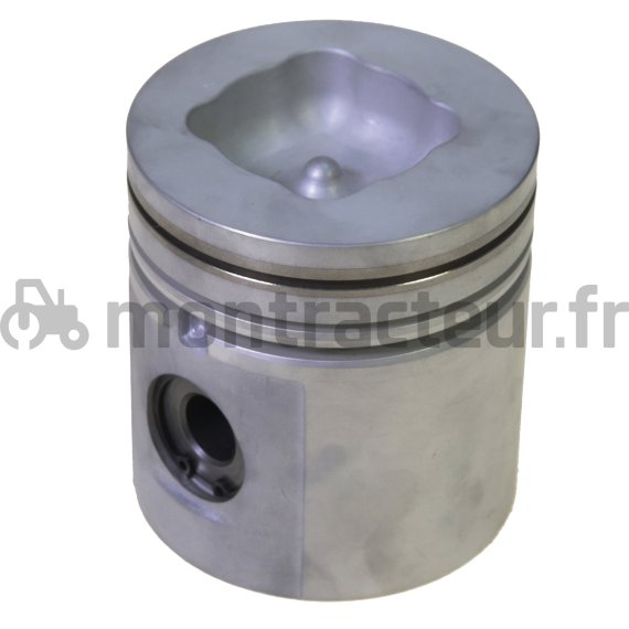 PISTON AVEC AXE Ø 100 MM - STANDARD