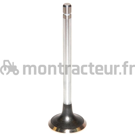 SOUPAPE D'ADMISSION Ø 37.50 X 8.00 MM - L 125.50 MM - 45°