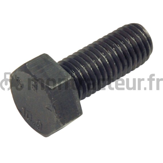 VIS TÊTE HEXAGONALE M12 X 1.75 - L 30 MM