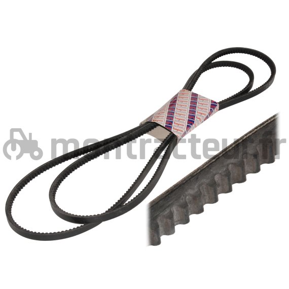 PAIRE DE COURROIES TRAPÉZOÏDALE 13 X 1215 LA