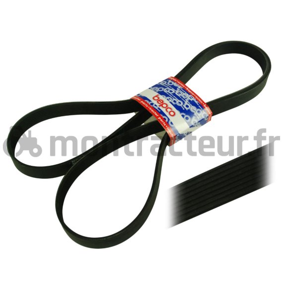 COURROIE PLATE 8 PK X 2525