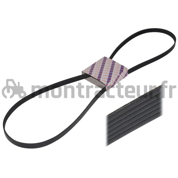 COURROIE PLATE 8 PK X 1915