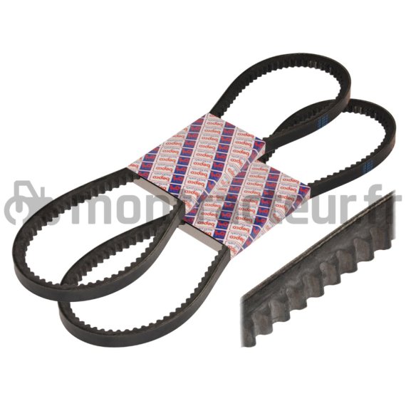 PAIRE DE COURROIES TRAPÉZOÏDALE 13 X 1200 LA