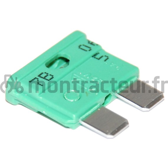FUSIBLE STANDARD FICHES PLATES 30A - VERT (BLISTER 10 PIÈCES)