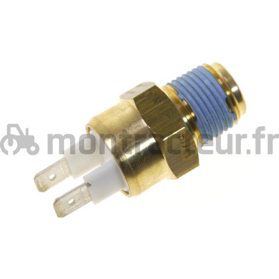 SONDE DE TEMPÉRATURE 3/8 BSP
