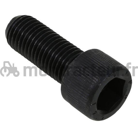 VIS M 20 X 56 MM