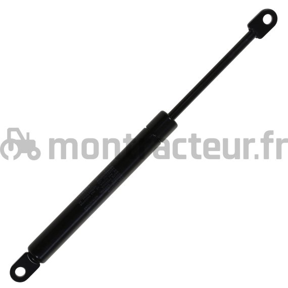 VÉRIN A GAZ L 225 MM - 160 N