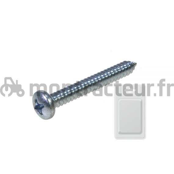 VIS TÔLE TÊTE BOMBÉE - DIN 7981 5.50 X 19 MM (BLISTER 20 PIÈCES)