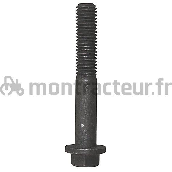 VIS M10 X 1.25 - L. 65 MM