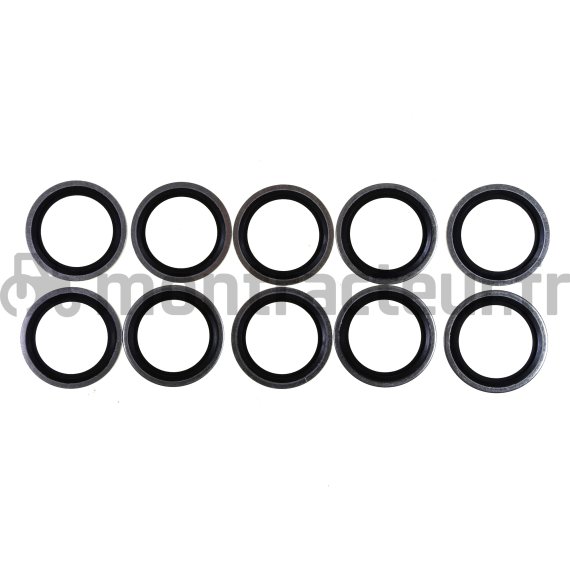 BAGUES BS AUTOCENTRÉES 1'' BSP - (BLISTER 10 PIÈCES)