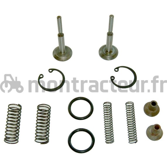 KIT  DE RÉPARATION POUR POMPE HYDRAULIQUE DE RELAGE POUR TRACTEUR MASSEY FERGUSSON