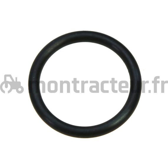 JOINT TORIQUE Ø 20.29 X 2.62 MM