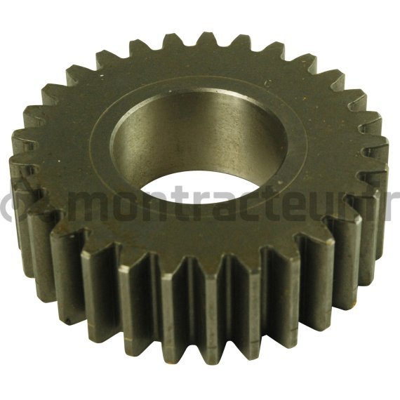 PIGNON SATELLITE Z=29