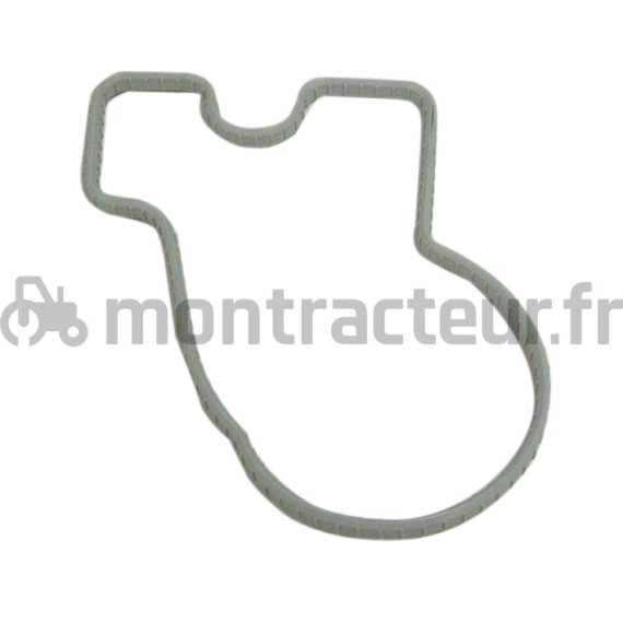 JOINT DE THERMOSTAT