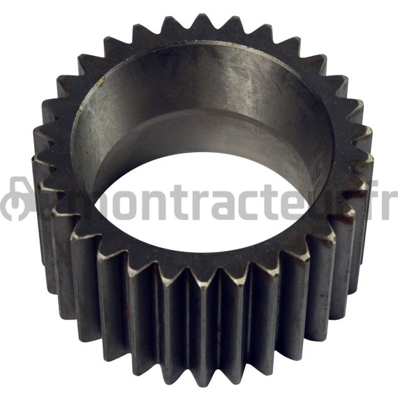 PIGNON SATELLITE Z=30