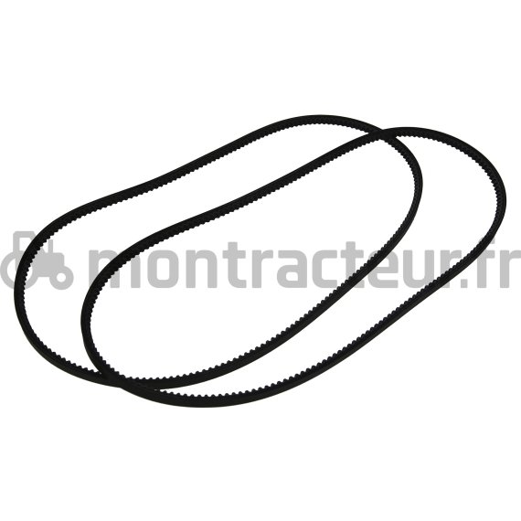 PAIRE DE COURROIES TRAPÉZOÏDALE 13 X 1460 LA