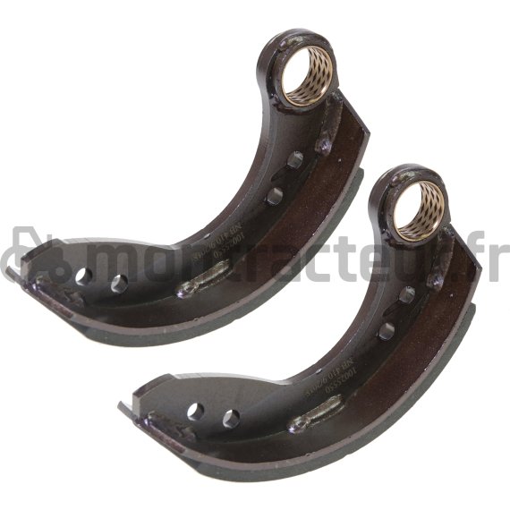 JEU DE MÂCHOIRES DE FREIN