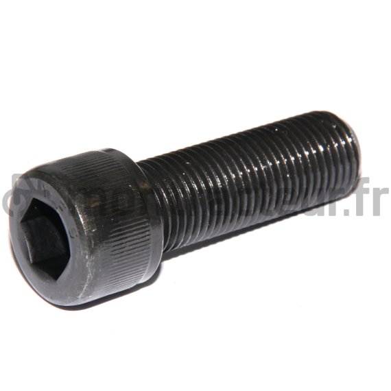 VIS L 51 MM - DE FOURCHE DE LEVAGE