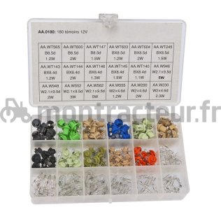 KIT AMPOULES DE TABLEAU DE BORD 12 V - 180 PIÈCES