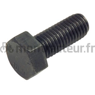 VIS TÊTE HEXAGONALE M12 X 1.75 - L 30 MM