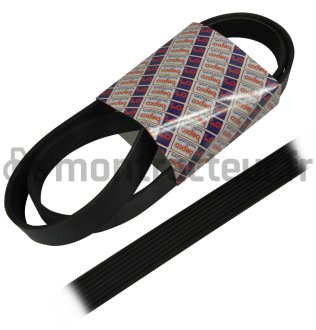 COURROIE PLATE 8 PK X 1550