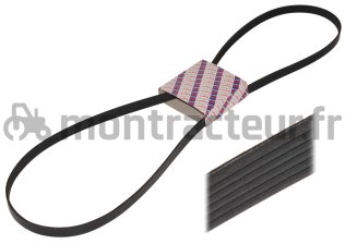 COURROIE PLATE 8 PK X 2460