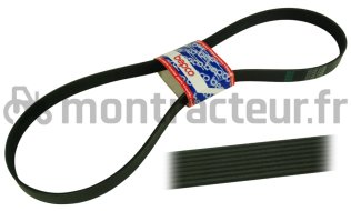 COURROIE PLATE 8 PK X 1700