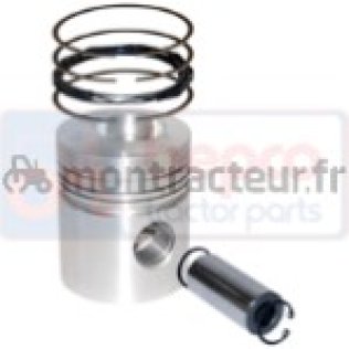 PISTON AVEC SEGMENTS Ø 100 MM - STANDARD