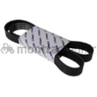 COURROIE PLATE 8 PK X 1365