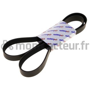 COURROIE PLATE 8 PK X 1688