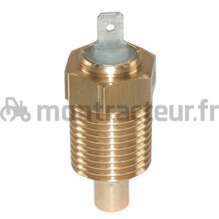 SONDE DE TEMPÉRATURE 1/2 BSP - L 49 MM