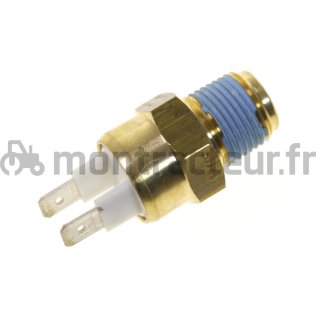 SONDE DE TEMPÉRATURE 3/8 BSP