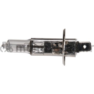 AMPOULE 24V - 70W - P14.5S - H1