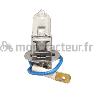 AMPOULE 12 V - 100 - PK22S - H3