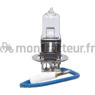 AMPOULE 12V - 55W - PK22S - H3