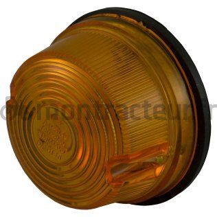CLIGNOTANT