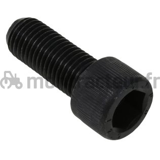 VIS M 20 X 56 MM