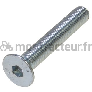 VIS A TÊTE FRAISÉE 6 PANS CREUX - GALVANISÉE 10.9-DIN 7991 M12X60 (BLISTER 5 PIÈCES)