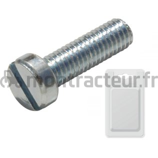 VIS A TÊTE CYLINDRIQUE FENDUE - DIN 84 M5 X 60 MM (BLISTER 10 PIÈCES)