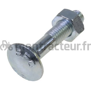 BOULON ZINC TRCC - 10 x 60 mm (BLISTER 50 PIÈCES)