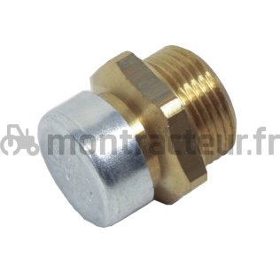 RENIFLARD PROTECTION 3/4'' BSP