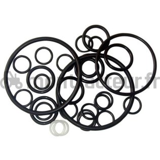 KIT JOINTS DE POMPE HYDRAULIQUE POUR TRACTEUR MASSEY FERGUSSON RÉF 1810467M91