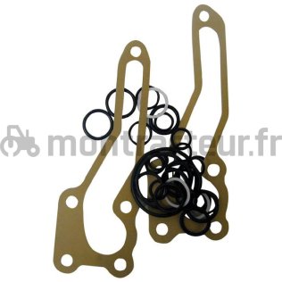 KIT JOINTS DE POMPE HYDRAULIQUE POUR TRACTEUR MASSEY FERGUSSON RÉF 1810684M91 - 1810684M92