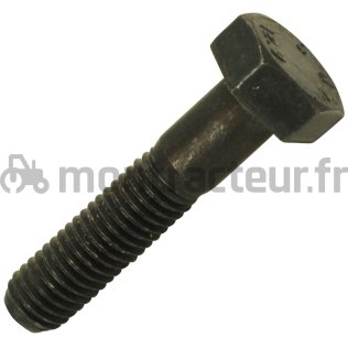 VIS TÊTE HEXAGONALE M10 - L 45 MM